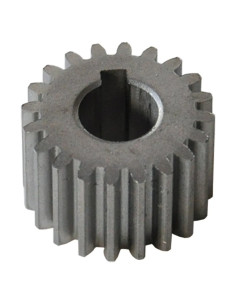 INGRANAGGIO Per motoriduttore REBER HP 0,3 - REBER