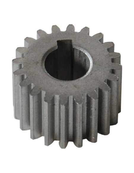INGRANAGGIO Per motoriduttore REBER HP 0,3 - REBER | Utensili Store