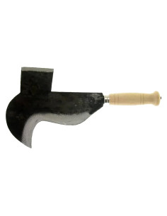 PENNATO 'FROSINONE' - LIF