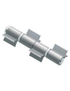 CERNIERONA A 4 ALI APERTE - COMUNELLO 2