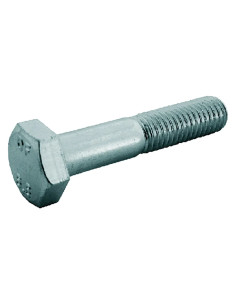 BULLONE TESTA ESAGONALE 8.8 T.E. - AMBROVIT