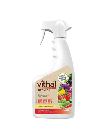 OLIO DI NEEM - VITHAL | Utensili Store