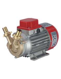 ELETTROPOMPA TRAVASO LIQUIDI 'MARINA' - ROVER