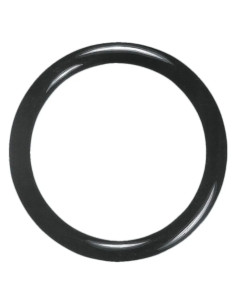 TESTINA + O RING - ANNOVI REVERBERI