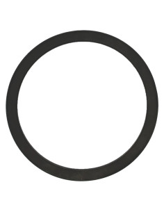 GUARNIZIONE POMPA TRAVASO PER FUSTI - Senza Marca