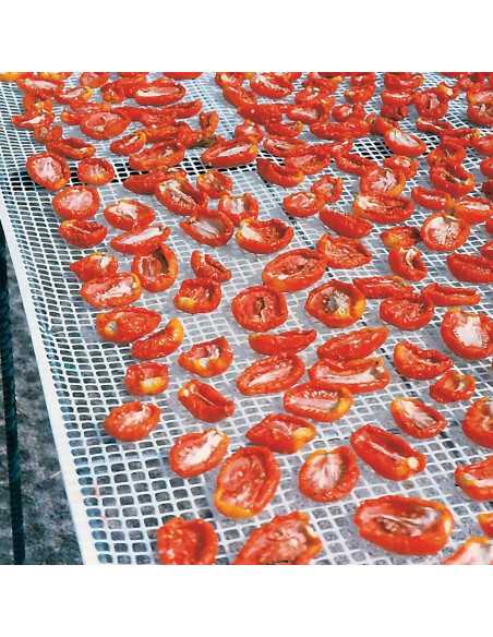 RETE PER ESSICCAZIONE ALIMENTI - Senza Marca | Utensili Store