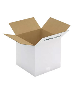 SCATOLA PER LATTE OLIO IN CARTONE - Senza Marca