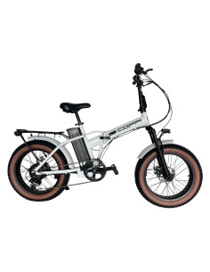 BICICLETTA ELETTRICA 'MARSILI' - MASCIAGHI