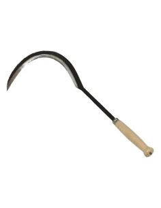 RONCOLE BRIXO COLTODINO M/L - Senza Marca