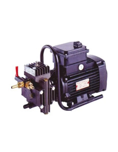 POMPE DL 218 + MOTORE ELETTRICO MONOFASE  - Senza Marca