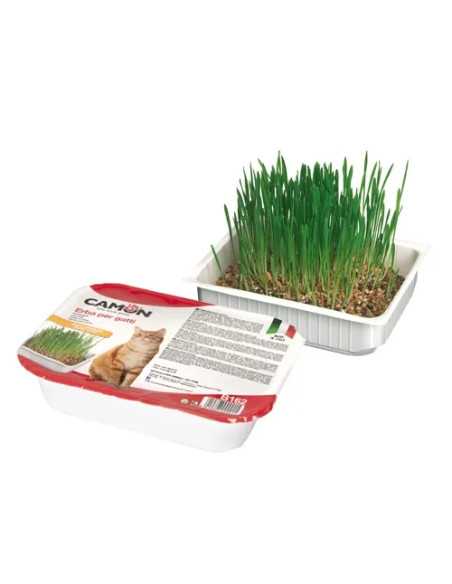 ERBA GATTO CAMON C/SEMI ORZO GATTI DISPLAY - Senza Marca | Utensili Store