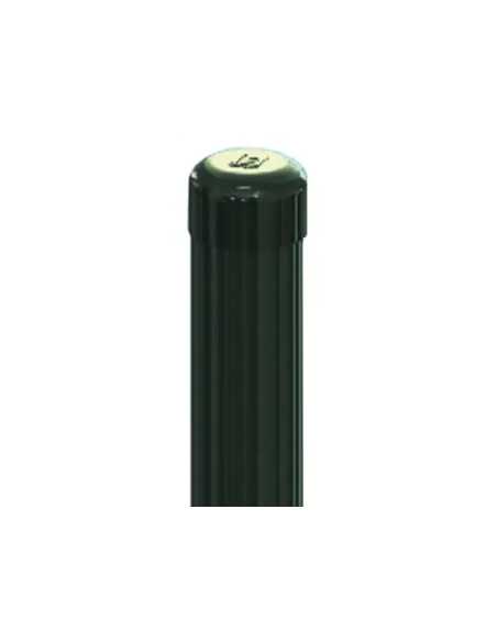 PALI ESSENTIAL VERDE - Senza Marca | Utensili Store