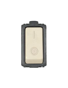 INTERRUTTORI BIPOLARI 16A - Senza Marca