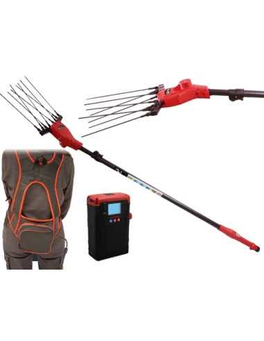 DENTI X SCUOTITORI X OLIVE RAMBO - Senza Marca | Utensili Store