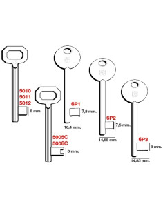 CHIAVI PASSEPARTOUT OTTONATA - Senza Marca