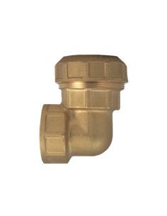 GOMITI A L FEMMINA - Senza Marca