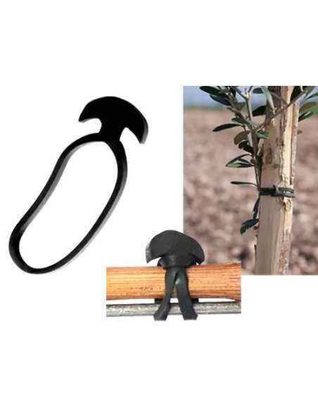 ANCORETTE ELASTIC.BANDOFIX - Senza Marca | Utensili Store