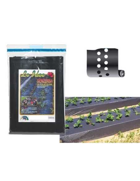 FOGLIA NERA FORI SFALZ. - Senza Marca | Utensili Store