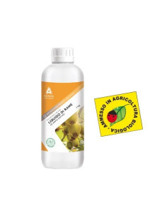 LIEVITO ENOLOGICO ZYMOFERM CEREVISIAE FRANKE - FRANKE | Utensili Store