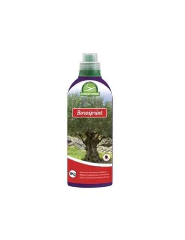 CONCIME LIQUIDO BOROSPRINT - Senza Marca | Utensili Store