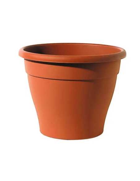 VASI MINERVA HL - Senza Marca | Utensili Store