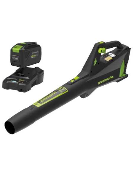 SOFFIAT.ASS. GREENWORKS 48V KIT GD48ABK2 - Senza Marca | Utensili Store