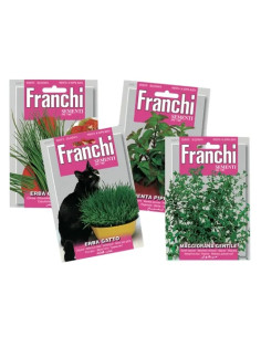 SEMI LAVANDA SPICA - Senza Marca