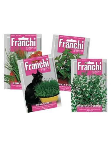 SEMI LAVANDA SPICA - Senza Marca | Utensili Store