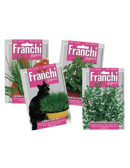 SEMI MENTA PIPERITA - Senza Marca | Utensili Store