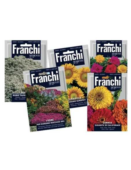 SEMI ZINNIA GIGANTE - Senza Marca | Utensili Store