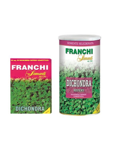 SEMI PRATO DICHONDRA - Senza Marca