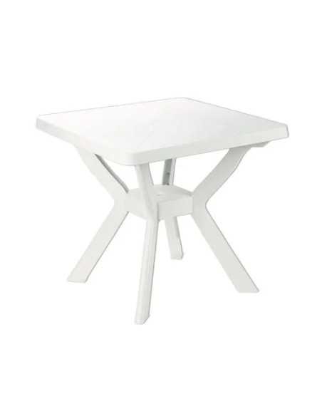 TAVOLI RESINA NILO BIANCHI - Senza Marca | Utensili Store