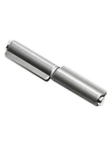 CERNIERE SALD.2 ALI PERNO SFIL.100 A.402 - Senza Marca | Utensili Store