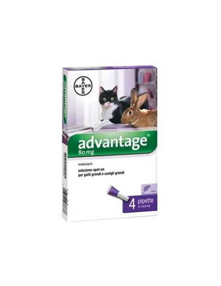 ADVANTAGE GATTI - Senza Marca | Utensili Store