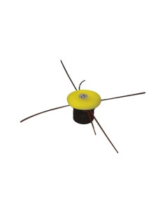 TESTINE GREENCAT POLPO UNIV.  - Senza Marca