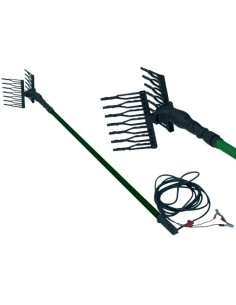 DENTI X SCUOTITORI FORZA  - Senza Marca