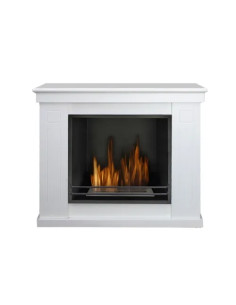 CAMINI A BIOETANOLO RAFFAELLO - Senza Marca