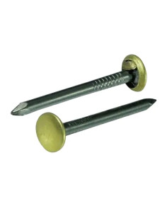 CHIODI ACCI.TESTA OTTON.CF.100 PZ - Senza Marca