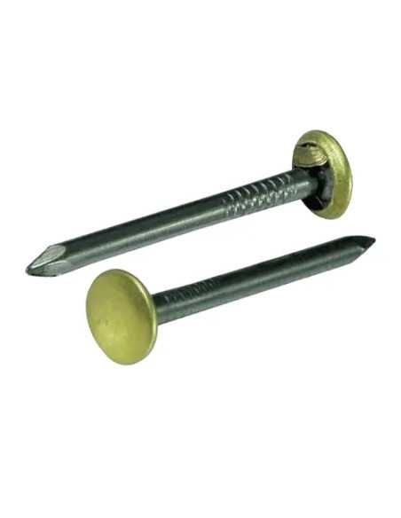 CHIODI ACCI.TESTA OTTON.CF.100 PZ - Senza Marca | Utensili Store