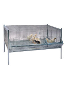 GABBIE PULCINI ANTITOPO - Senza Marca