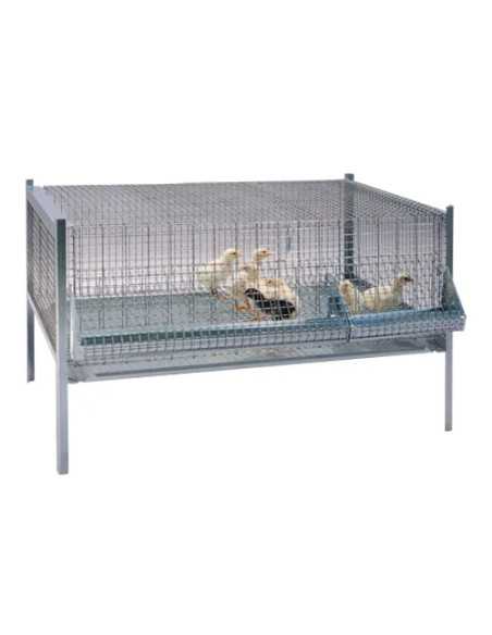 GABBIE PULCINI ANTITOPO - Senza Marca | Utensili Store