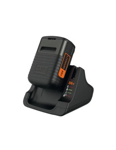 STARTER KIT B+D + CARICAB.36V - Senza Marca