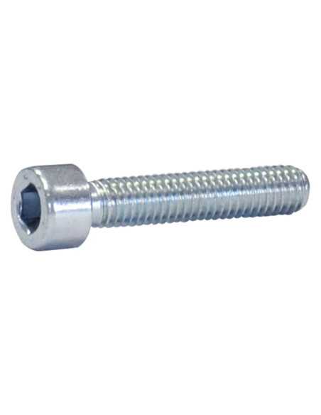 BULLONE TESTA CILINDRICA - Senza Marca | Utensili Store