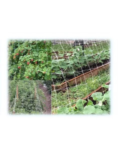 RETE SOSTENGREEN H135 RT. - Senza Marca