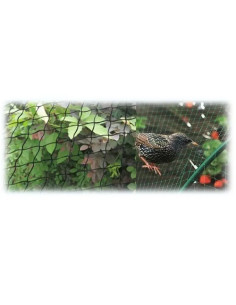 RETE BRIXO NOFLYNET H200  - Senza Marca