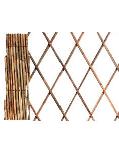 TRALICCI BAMBU'  - Senza Marca