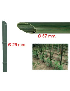 TUTORI IN PLASTICA  - Senza Marca