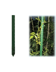 TUTORI P/PIANTE BRIXO  - Senza Marca