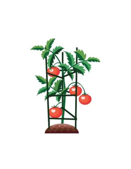 GABBIE P/POMODORI BRIXO ACCIAIO-PE - Senza Marca | Utensili Store