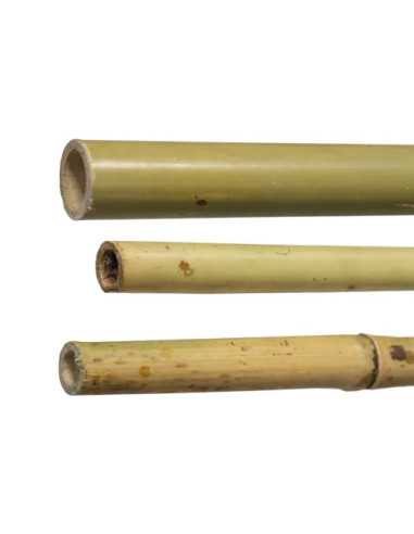 CANNE BAMB - Senza Marca | Utensili Store